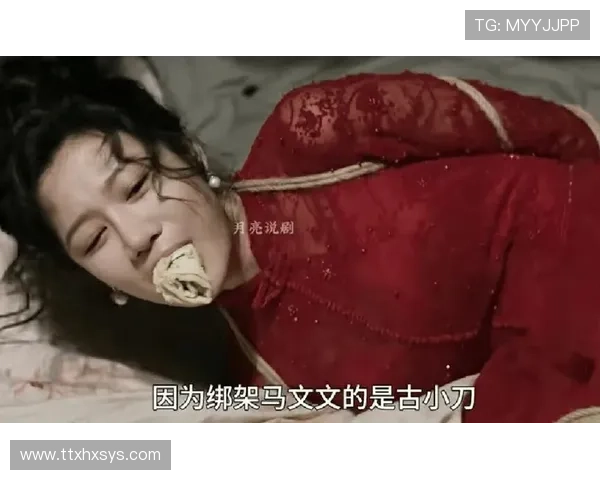 围绕色狼狈集中营手机影像背后真相展开的都市悬疑追踪剧集